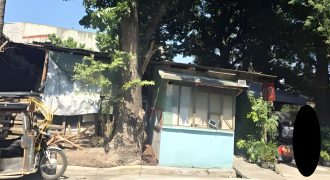 Foreclosed House and Lot in Parañaque City