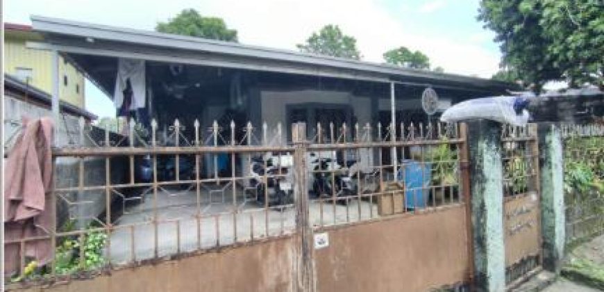 Foreclosed House and Lot in Bulacan – Pine Ville Subdivision (SSS)