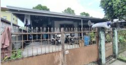 Foreclosed House and Lot in Pampanga – (Lot 3821-A-2-E-5-B-2-A-4) Nos. 32 & 34 Waling-waling Street. (SSS)