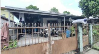 Foreclosed House and Lot in Pampanga – (Lot 3821-A-2-E-5-B-2-A-4) Nos. 32 & 34 Waling-waling Street. (SSS)
