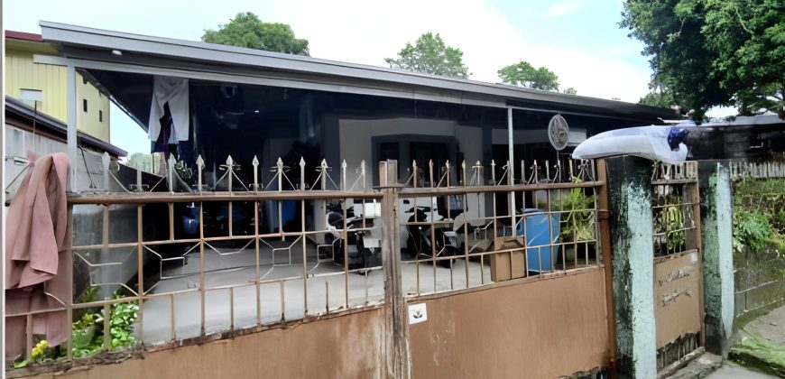 Foreclosed House and Lot in Pampanga – (Lot 3821-A-2-E-5-B-2-A-4) Nos. 32 & 34 Waling-waling Street. (SSS)