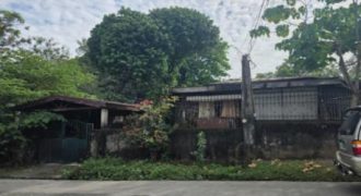 Foreclosed House and Lot in Pampanga – (Lot 3821-A-2-E-5-B-2-F-1) Nos. 37 & 35 Waling-waling Street (SSS)