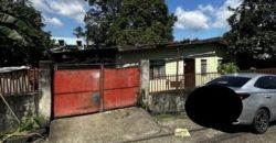 Foreclosed House and Lot in Pampanga – (Lot 3821-A-2-E-5-B-3-A-9-J) Nos. 185 & 183 Dahlia Street (SSS)