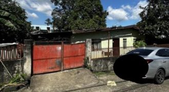 Foreclosed House and Lot in Pampanga – (Lot 3821-A-2-E-5-B-3-A-9-J) Nos. 185 & 183 Dahlia Street (SSS)