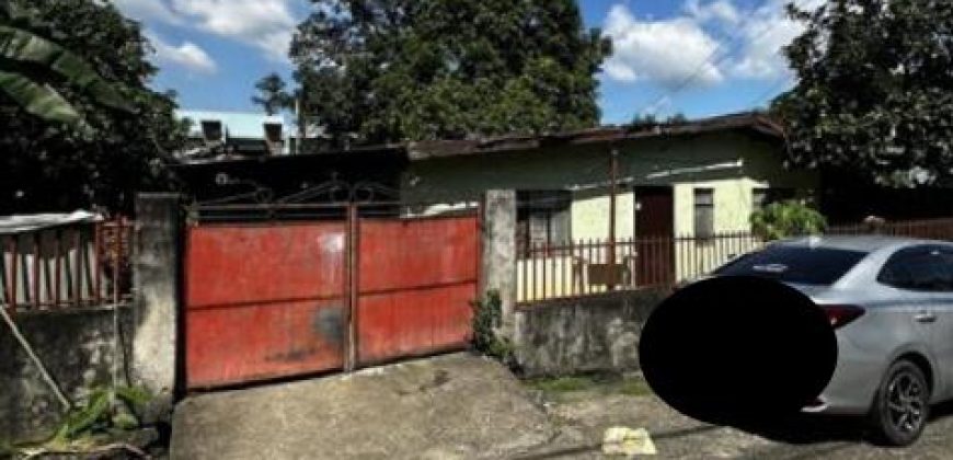Foreclosed House and Lot in Pampanga – (Lot 3821-A-2-E-5-B-3-A-9-J) Nos. 185 & 183 Dahlia Street (SSS)