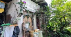 Foreclosed House and Lot in San Fernando City