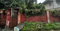 Foreclosed House and Lot in Tarlac City, Tarlac, Luzon #39