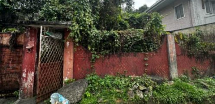 Foreclosed House and Lot in Tarlac City, Tarlac, Luzon #39