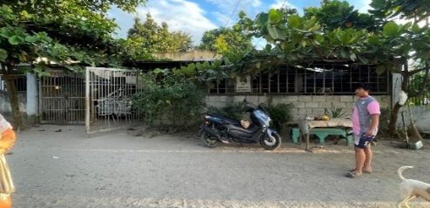Foreclosed House and Lot in Santa Rosa City