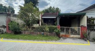 Foreclosed House and Lot in Laguna – Saint John Subdivision (SSS)