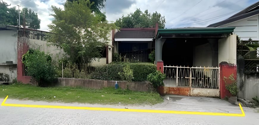 Foreclosed House and Lot in Santa Rosa City