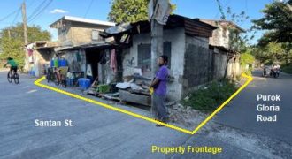Foreclosed House and Lot in Cebu · Lot 3840-F-1 (SSS)