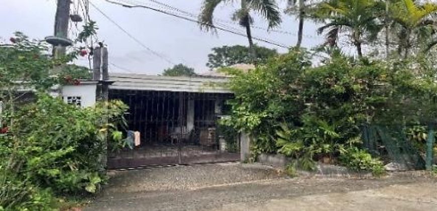 Foreclosed House and Lot in Cebu City (Inayawan per TCT), Cebu (SSS)