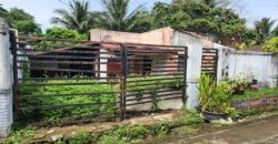 Foreclosed House and Lot in Negros Occidental – Canetown Subdivision (SSS)