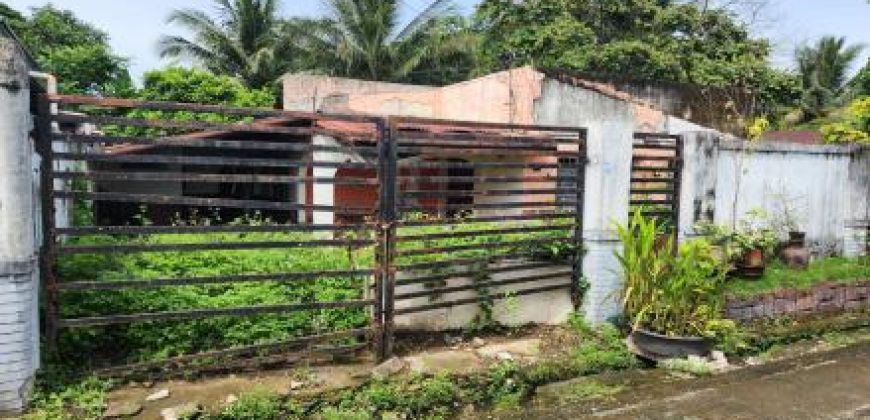 Foreclosed House and Lot in Negros Occidental – Canetown Subdivision (SSS)