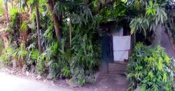 Foreclosed House and Lot in Negros Occidental – Canetown Subdivision · Lot 6 Block 3 (SSS)