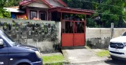 Foreclosed House and Lot in Iloilo City