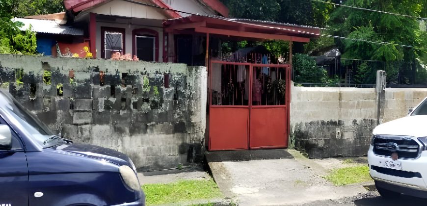 Foreclosed House and Lot in Iloilo City