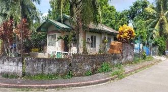 Foreclosed House and Lot in Binalbagan, Negros Occidental