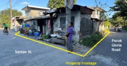 Foreclosed House and Lot in Panabo City – Evelyn Subdivision (SSS)