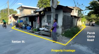 Foreclosed House and Lot in Panabo City