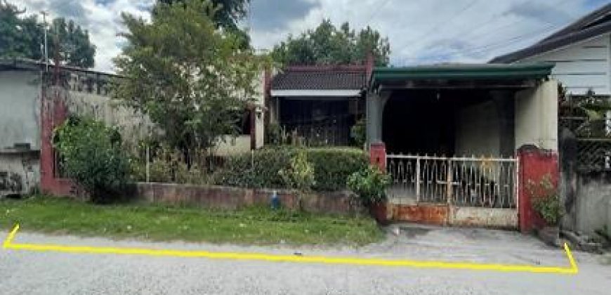 Foreclosed House and Lot in Panabo City – Evelyn Subdivision · Lot 3 Block 5 (SSS)