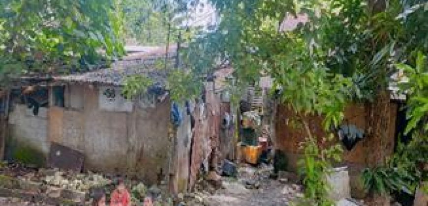 Foreclosed House and Lot in Panabo City, Davao del Norte, Mindanao #8