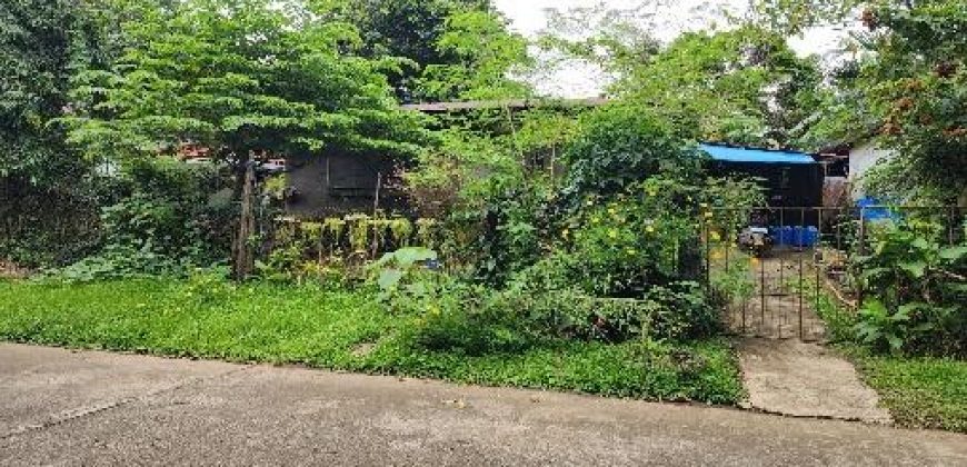Foreclosed House and Lot in Panabo City – Sharon Faith Subdivision · Lot 6 Block 9 (SSS)