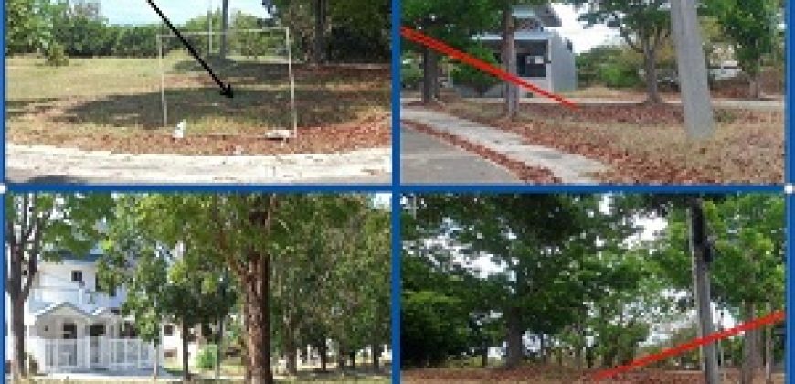 Foreclosed Residential Lot in Pangasinan, Northern Luzon – ROAD LOT 12 CORNER ROAD LOT 13 (PSBank)