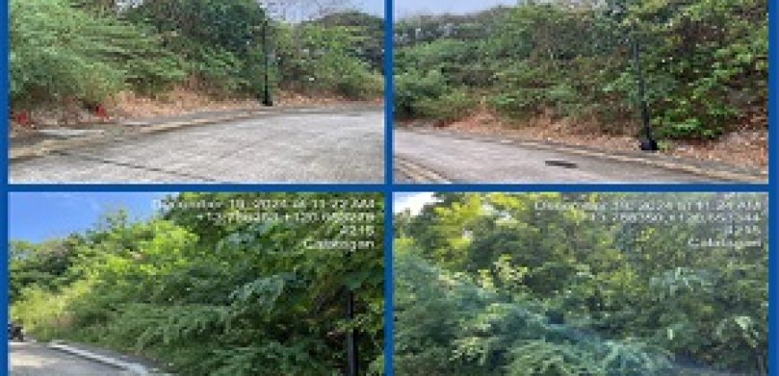 Foreclosed Residential Lot in Batangas, Southern Luzon – SAN ANDREAS BEACH DRIVE (PSBank)