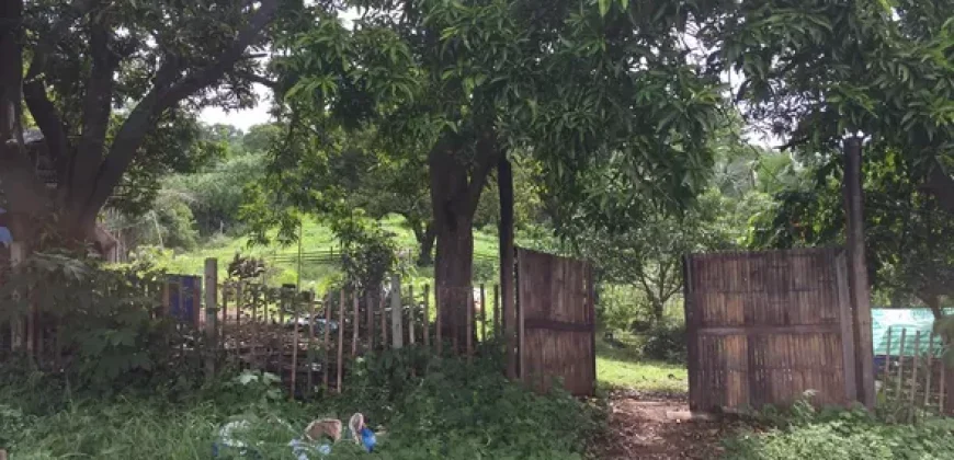 9 has farm land Mountain, Beach View near Tagaytay