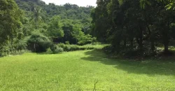 9 has farm land Mountain, Beach View near Tagaytay