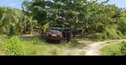 Barangay Maghan-ay,Tuburan,Cebu 1.3 has near Colonia Elementary School