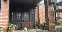 Mansion house with 6 bedrooms 4 car parking, & more in Ayala Heights, QC