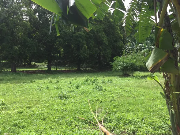 9-Hectare Farm Land in Tuy, Batangas