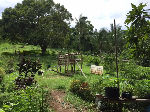 9-Hectare Farm Land in Tuy, Batangas