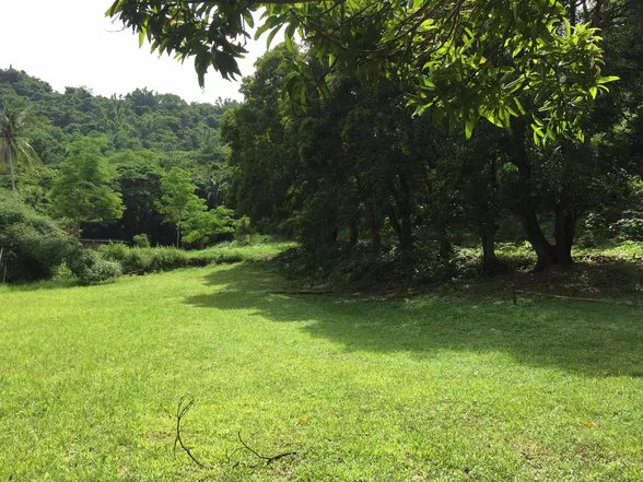 9-Hectare Farm Land in Tuy, Batangas