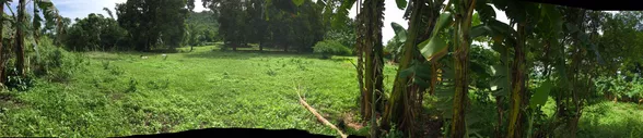 9-Hectare Farm Land in Tuy, Batangas