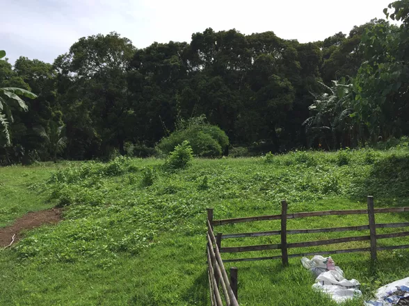 9-Hectare Farm Land in Tuy, Batangas