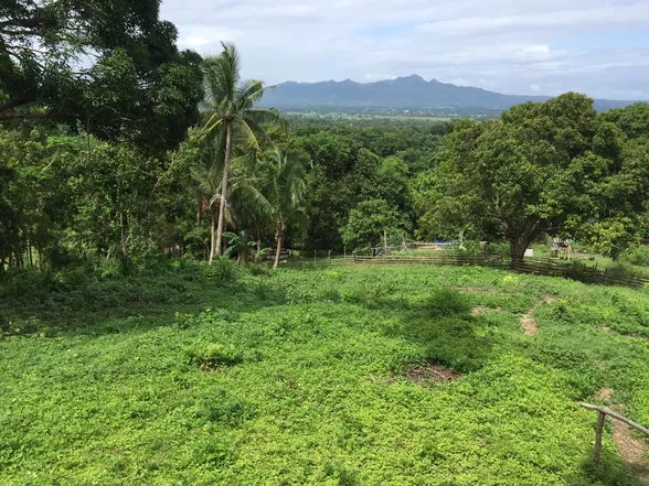 9-Hectare Farm Land in Tuy, Batangas