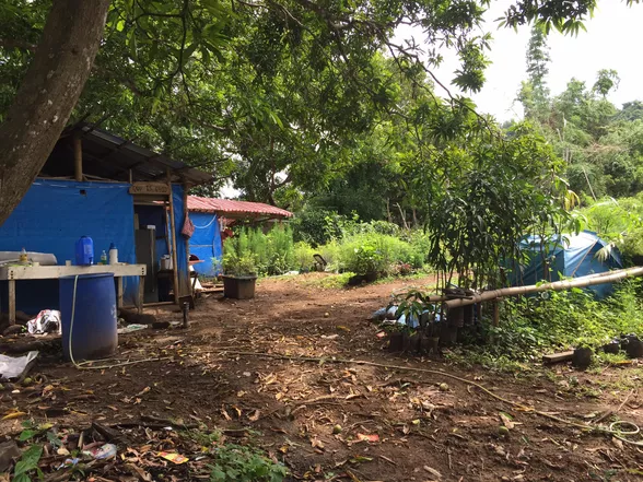 9-Hectare Farm Land in Tuy, Batangas