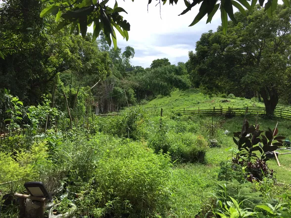 9-Hectare Farm Land in Tuy, Batangas