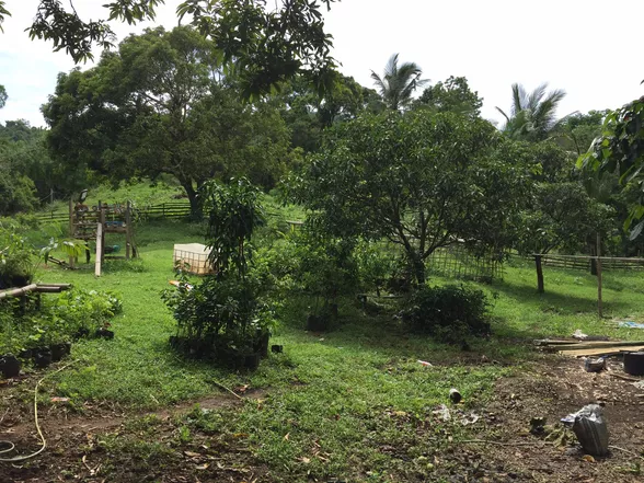 9-Hectare Farm Land in Tuy, Batangas
