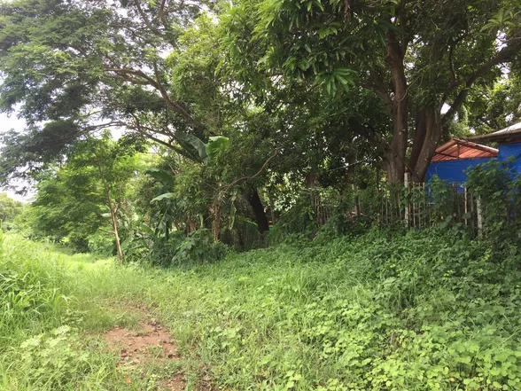 9-Hectare Farm Land in Tuy, Batangas