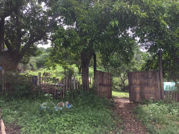 9-Hectare Farm Land in Tuy, Batangas
