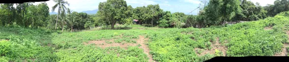 9-Hectare Farm Land in Tuy, Batangas