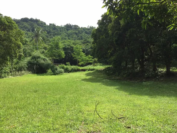 9-Hectare Farm Land in Tuy, Batangas