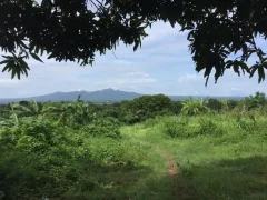 9 has farm land Mountain, Beach View near Tagaytay