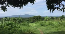 9 has of farm land Tuy, Batangas