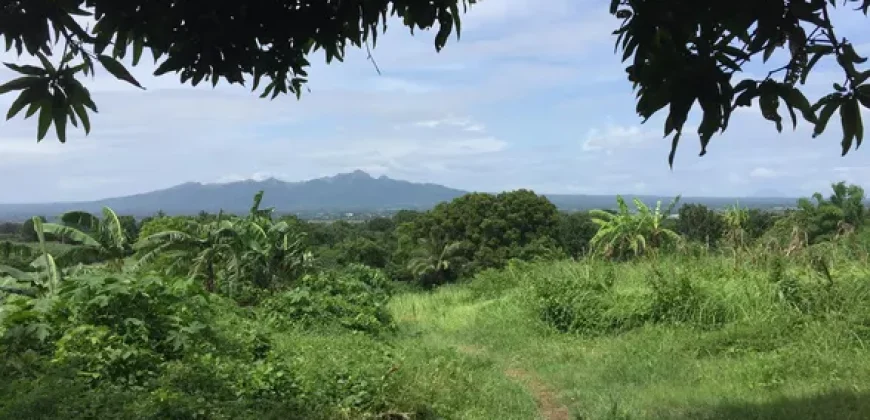 9 has of farm land Tuy, Batangas